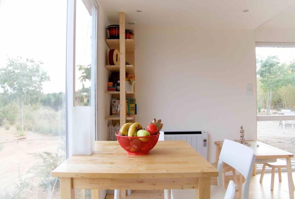 Eco Tiny Home & Office For Digital Nomads Vallmoll Eksteriør billede
