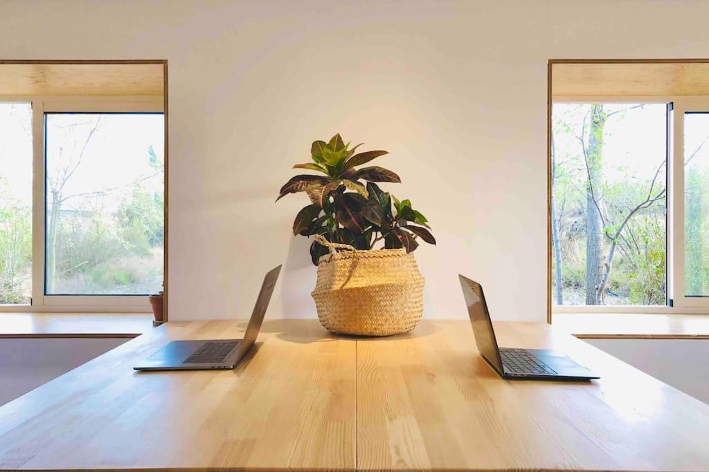 Eco Tiny Home & Office For Digital Nomads Vallmoll Eksteriør billede