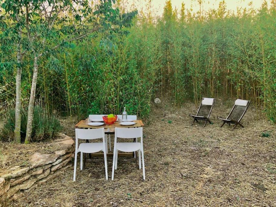 Eco Tiny Home & Office For Digital Nomads Vallmoll Eksteriør billede