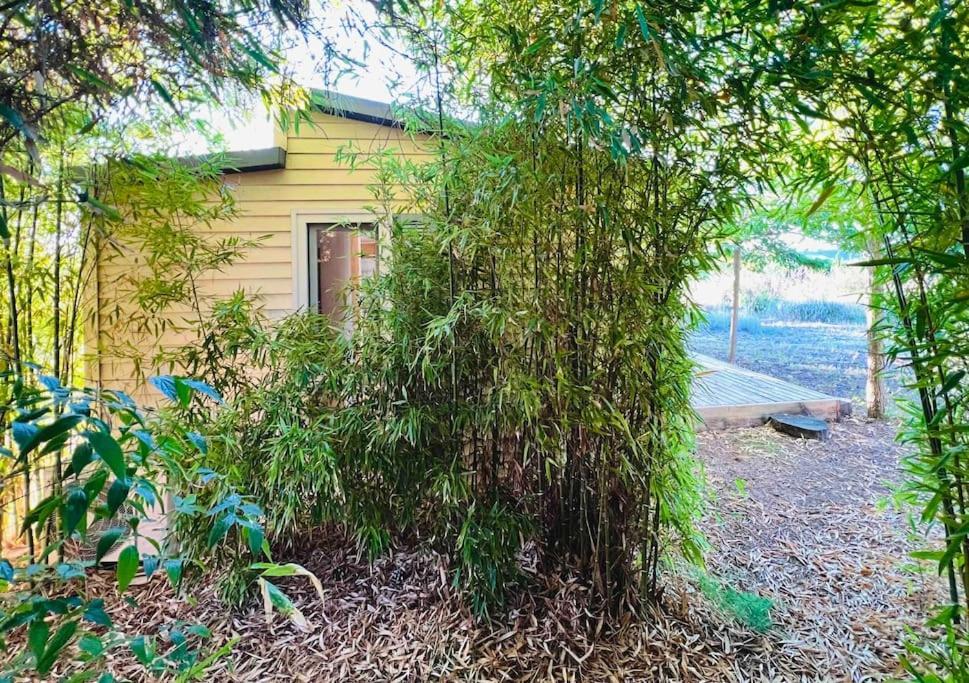 Eco Tiny Home & Office For Digital Nomads Vallmoll Eksteriør billede